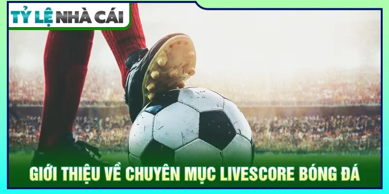 Chuyên mục Livescore cung cấp dữ liệu về tỷ số liên tục