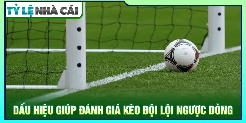 Dấu hiệu về từng giai đoạn giúp vào tiền chuẩn xác hơn