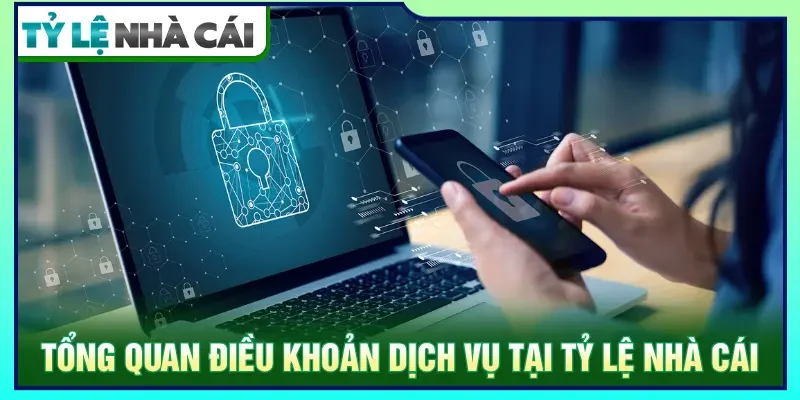Điều khoản được áp dụng cho toàn bộ người truy cập website