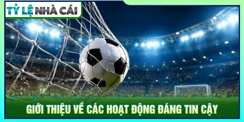 Hoạt động tập trung sự minh bạch và giá trị thực tế