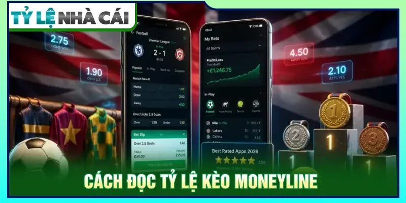 Hướng dẫn cách đọc tỷ lệ cho người mới