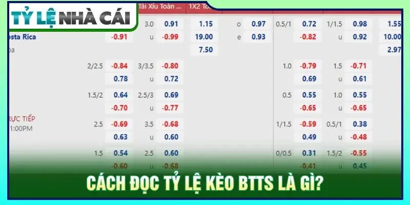 Hướng dẫn cách đọc tỷ lệ khi tìm hiểu kèo BTTS là gì