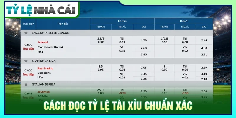 Hướng dẫn đọc cược thực tế và tính lợi nhuận chuẩn xác