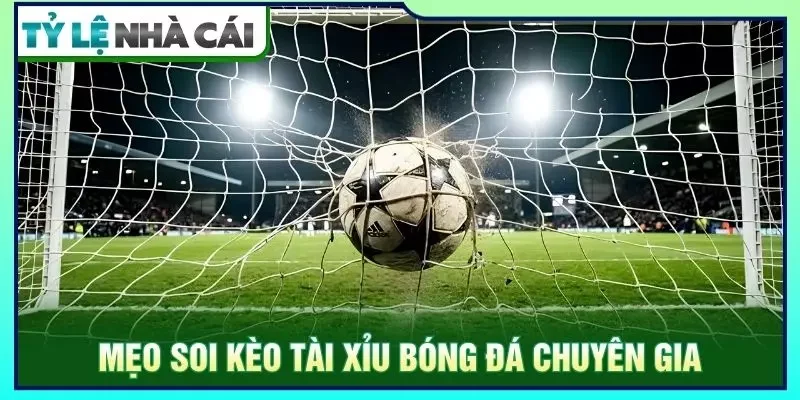 Kinh nghiệm soi kèo tài xỉu bóng đá từ chuyên gia
