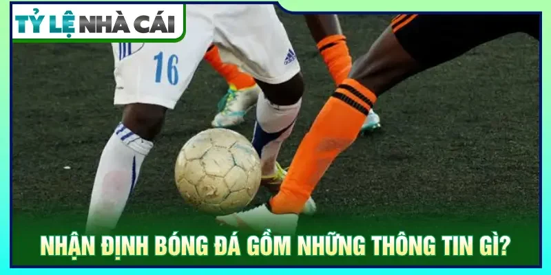 Nhận định bóng đá tập hợp các thông tin quan trọng về trận đấu