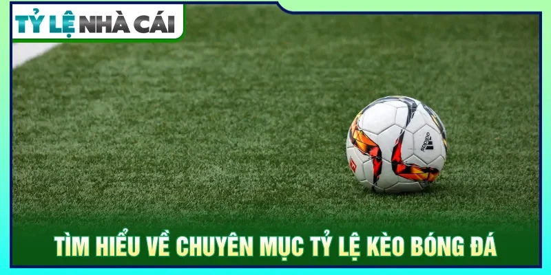 Tỷ lệ kèo phân tích dữ liệu để người chơi lựa chọn dễ dàng