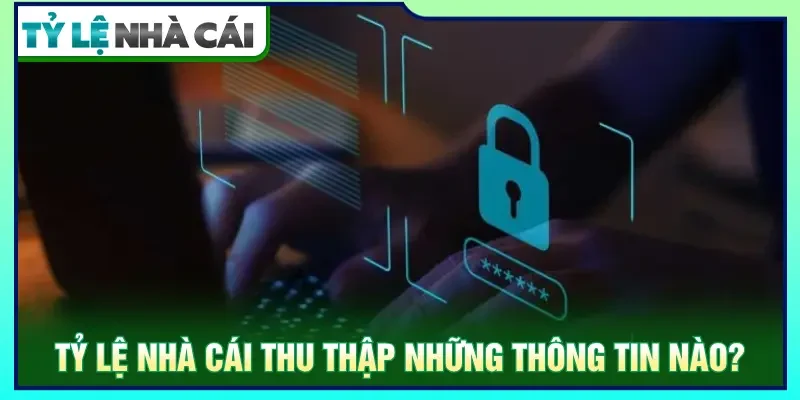 Website có thể tiếp nhận thông tin cần thiết phục vụ cho mục đích vận hành